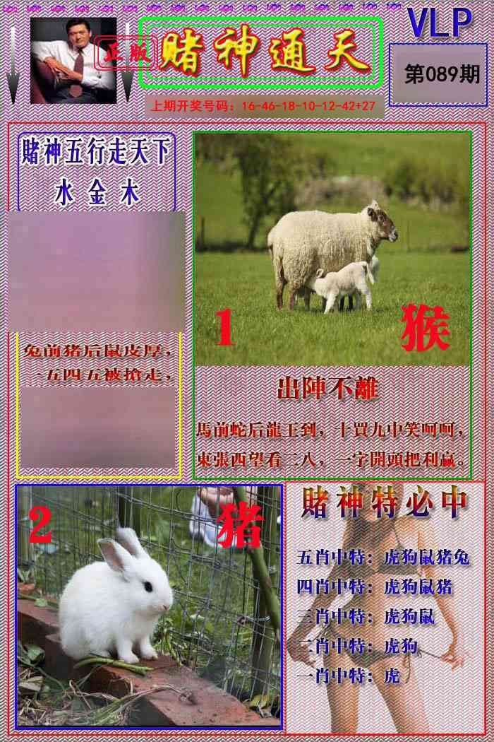 089期赌神通天报[图]