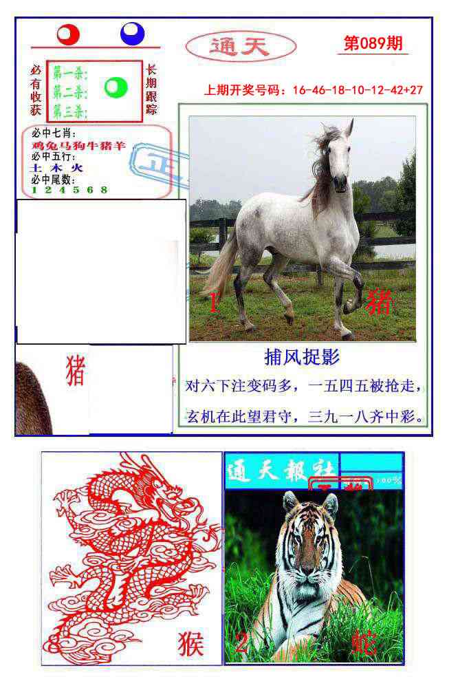 089期通天杀波图2[图]